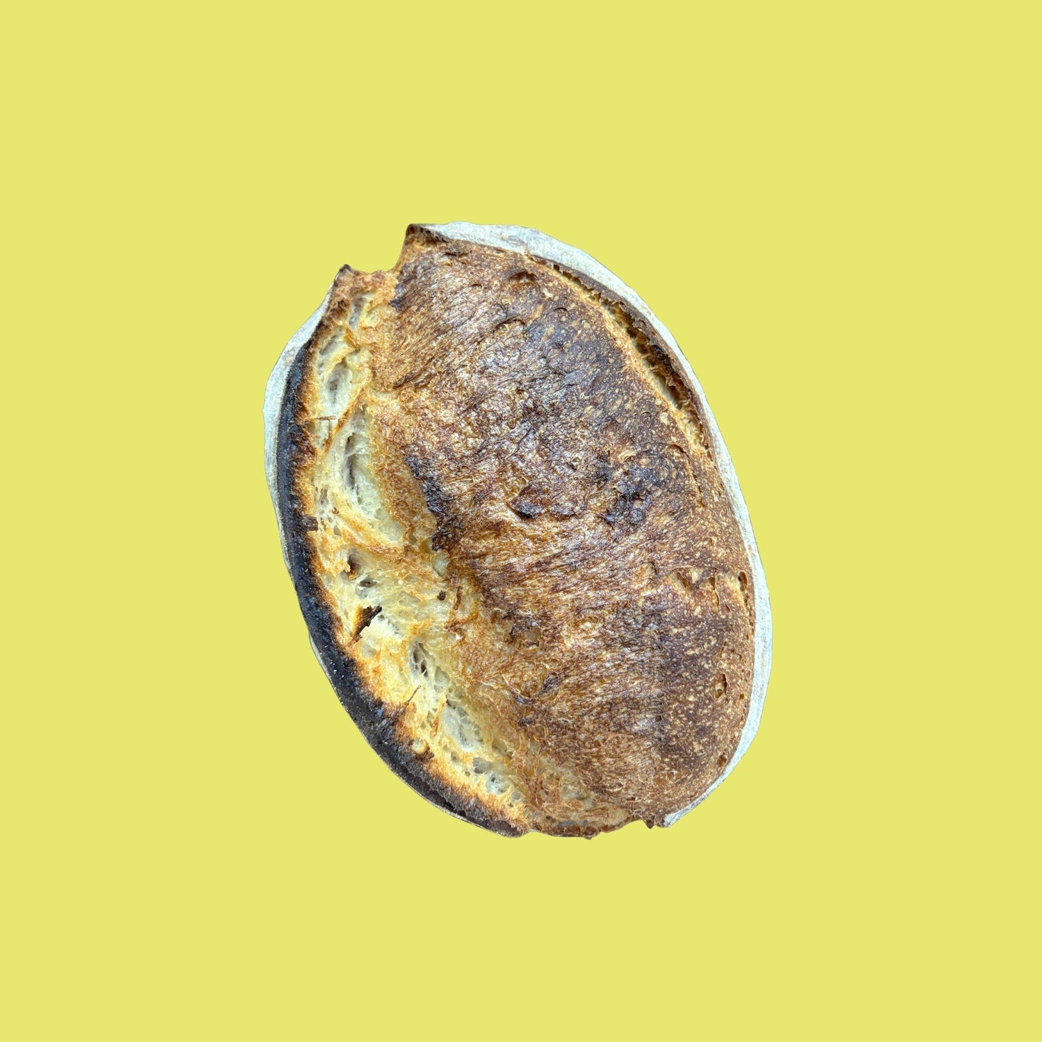 BREAD
