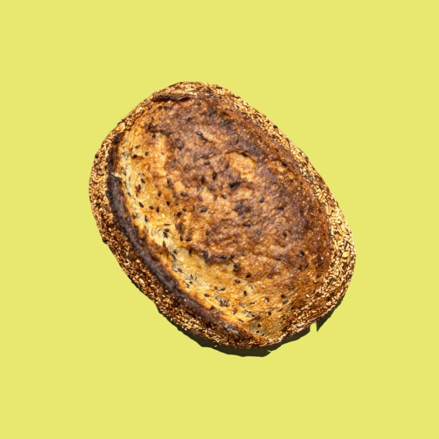 Seeded Sourdough Loaf